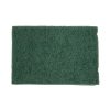 Green Scouring Pads (10)